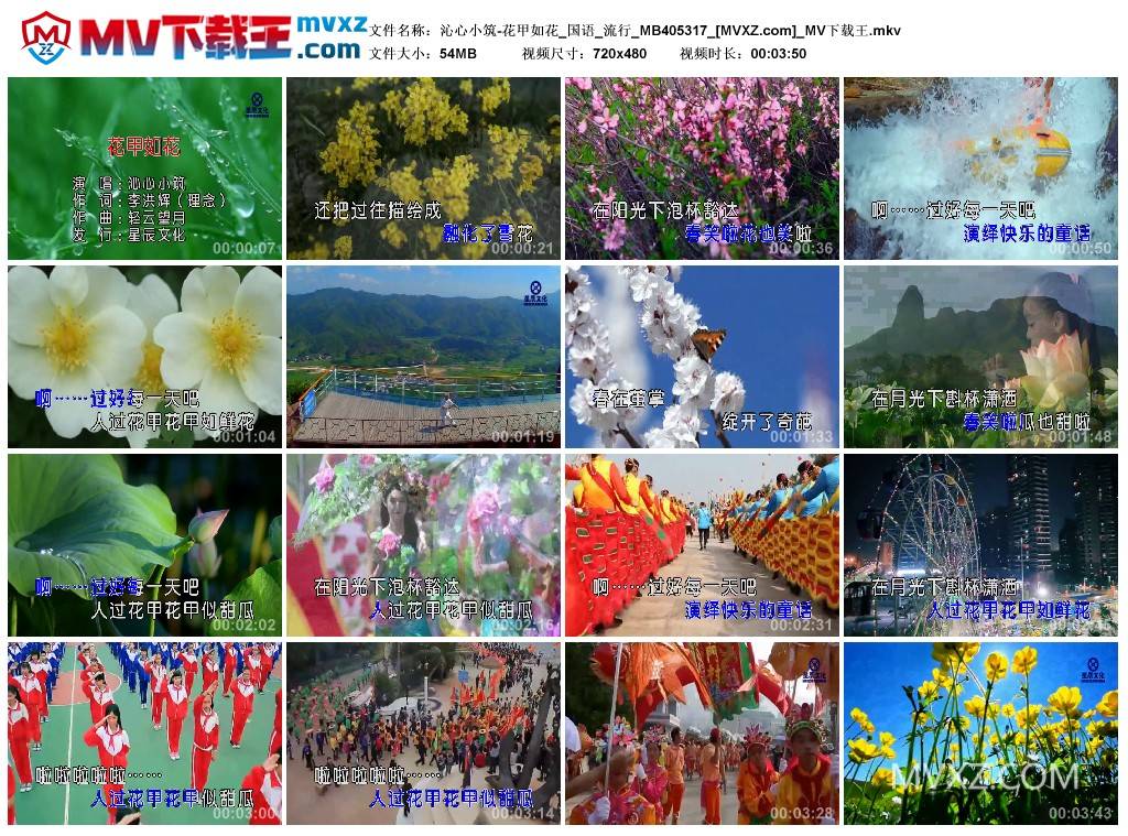 沁心小筑-花甲如花_国语_流行_MB405317